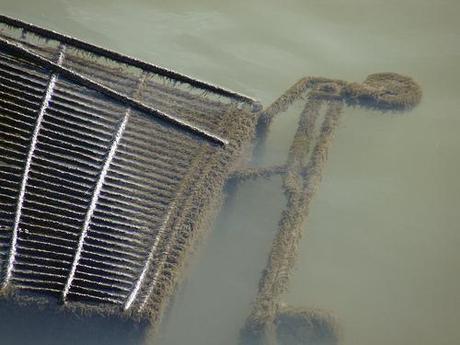 [Vos photos] Bords de Seine