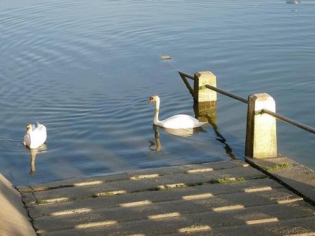 [Vos photos] Bords de Seine