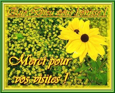 Tajine de veau aux carottes et citron confit Tajine de veau aux carottes et citron confit