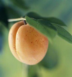 Droits de succession - suite