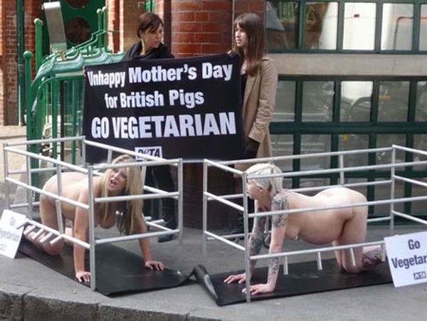 Des femmes enceintes nues pour la PETA à Londres