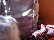 Bourg Saint Maurice Terminus