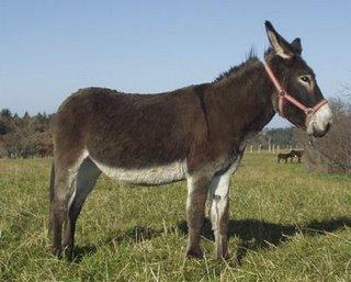 Et les salaires, bordel !