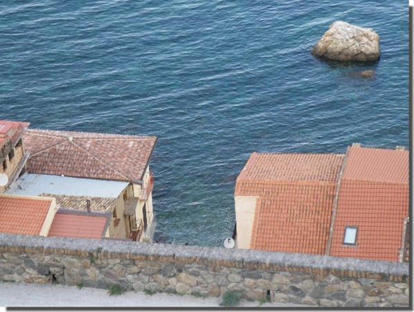 scilla la visite continue