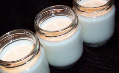 Yaourts à la fontaine de fruits d'été Yaourts à la fontaine de fruits d'été