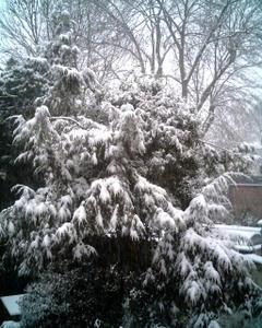 Février - Au fil du temps - Acrostiche - Véronique Dubois