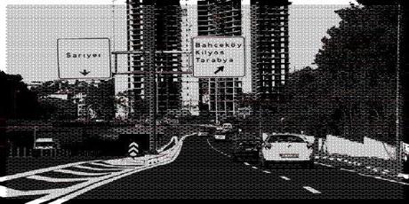 [n1032377880_223207_4843.jpg]