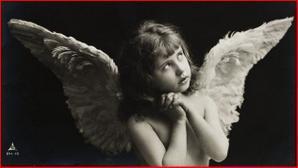 Mea culpa et autres sottises