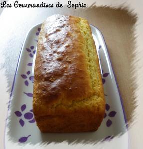 Moelleux à la vanille (express)