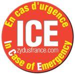 logo ICE du laboratoire Zydus France