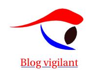 logo-vigilants.1237812825.png