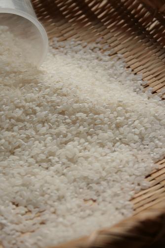 Riz japonais