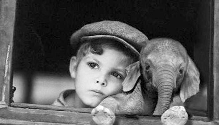 Les free hugs chez les animaux…