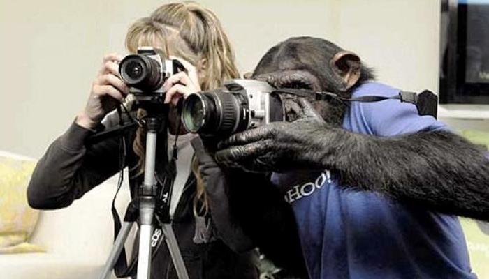 Les free hugs chez les animaux…