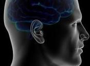 quart séropositifs souffriraient troubles cognitifs