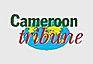 Editorial de Cameroon Tribune : la polémique vue d'Afrique