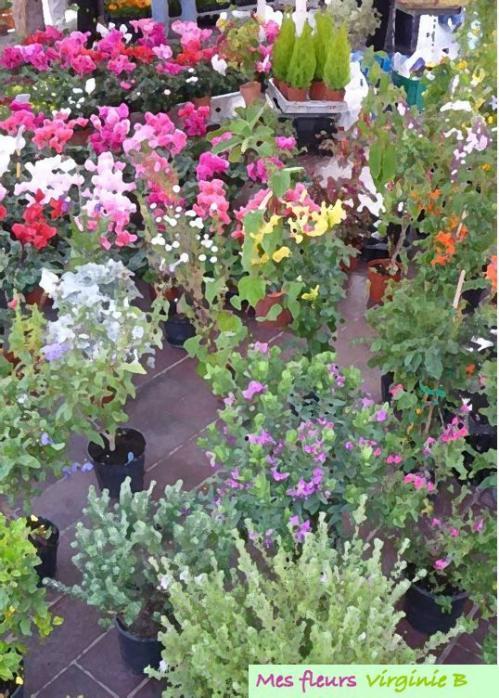 Dernier soir pour voter...