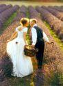 Les mariés de Provence