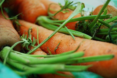 soupe de carottes à coriandre