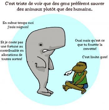 26- Le vieux peuple et la mer...