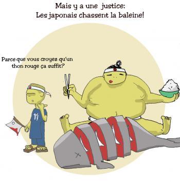 26- Le vieux peuple et la mer...