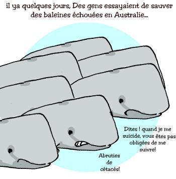 26- Le vieux peuple et la mer...