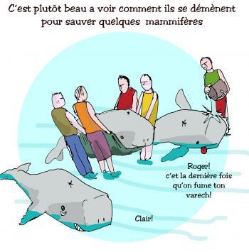 26- Le vieux peuple et la mer...