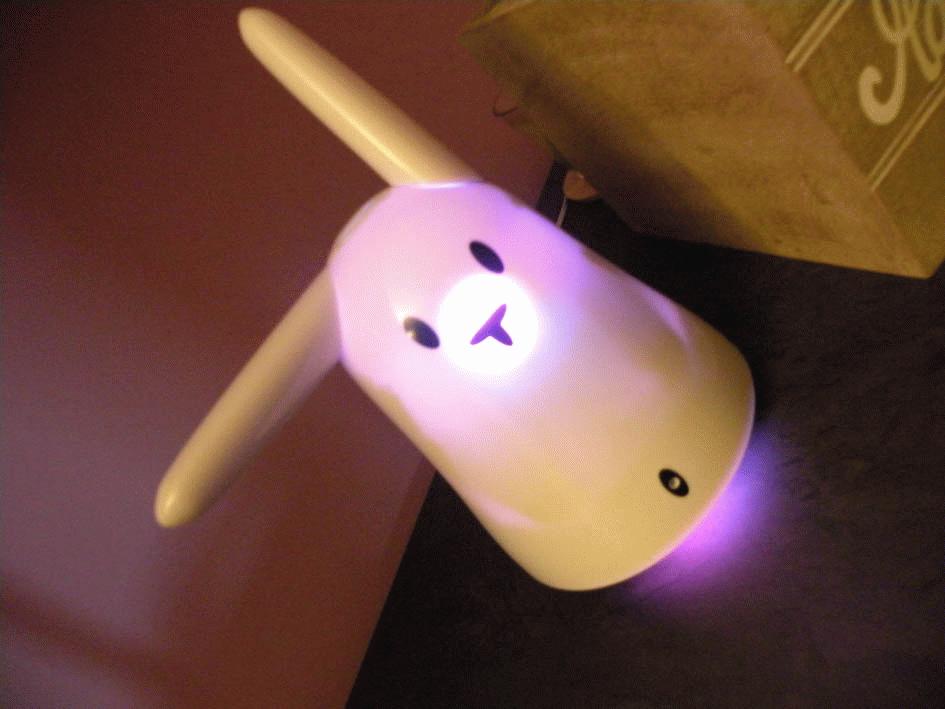 Le terrier de Wonderland