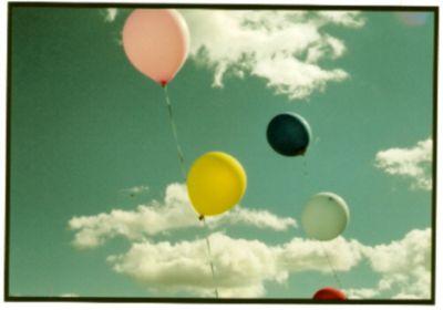 103949088_1779ee542f