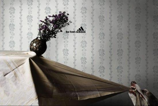 Adidas : vite fait, bien fait