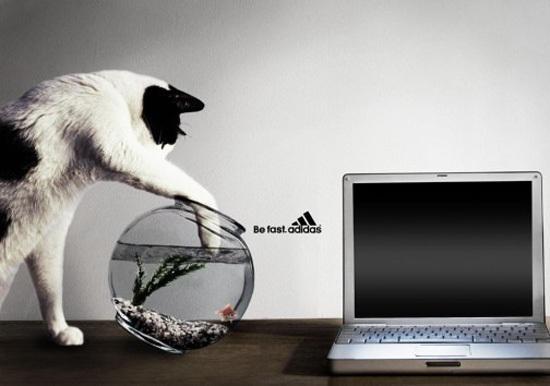 Adidas : vite fait, bien fait