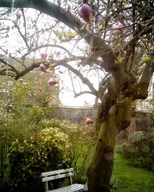 Mai - Au fil du temps - Acrostiche - Véronique Dubois