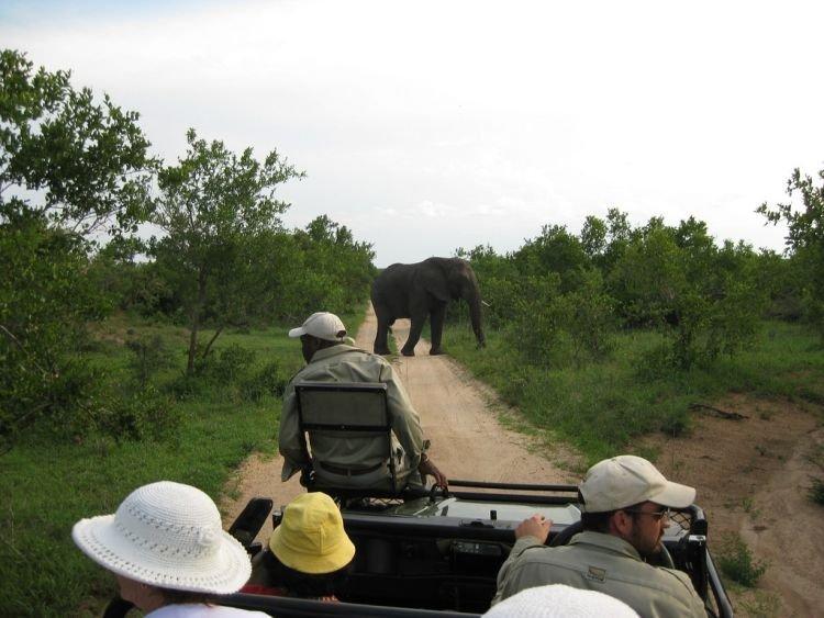 Parc national Kruger, Afrique du Sud