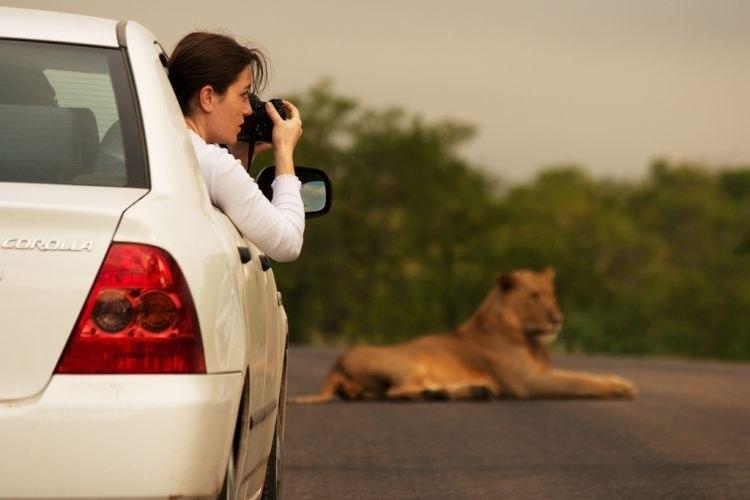 Parc national Kruger, Afrique du Sud