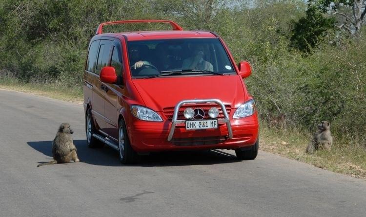 Parc national Kruger, Afrique du Sud