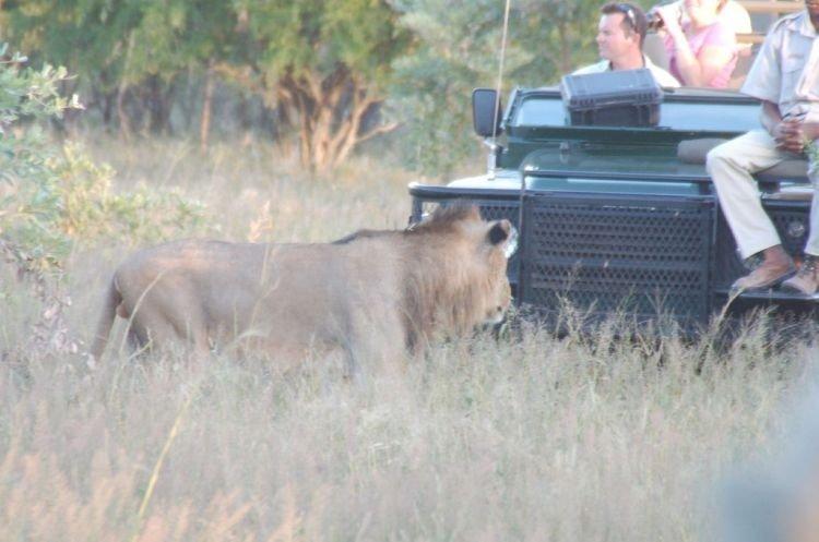 Parc national Kruger, Afrique du Sud