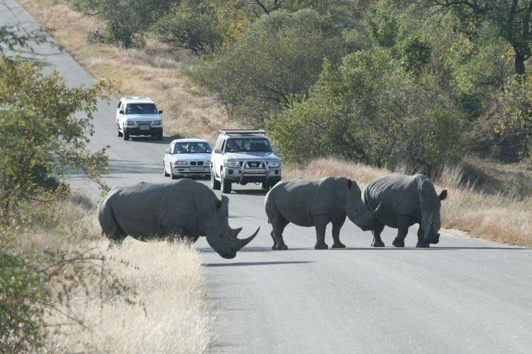 Parc national Kruger, Afrique du Sud