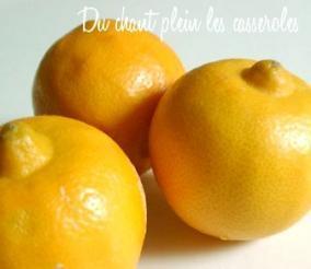 Derniers jours, dernières marmelades d'hiver : citrons et bergamotes