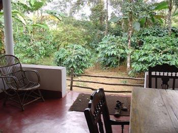 Etape 4, Galibeedu in Coorg !