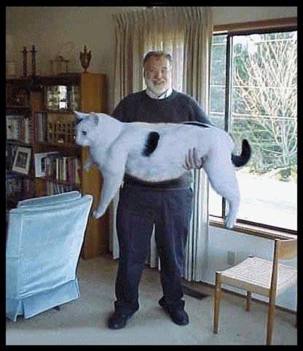 Décret sur la rénumération des dirigeants...