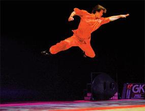 Le 24ème Festival des Arts Martiaux en direct sur Paris Première