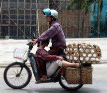 Les palmes de la galanterie