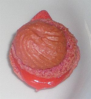 Macaron à la Fraise Tagada