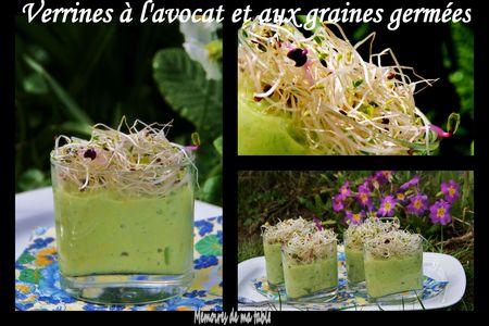 verrines_avocat_graines_germ_es