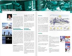 rapport-gestion-cmt-2008