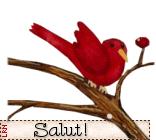 Image Hosted by ImageShack.us