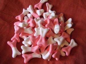 Yaourts aux os DSCF6994