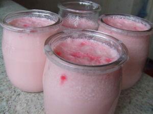 Yaourts aux os DSCF7005