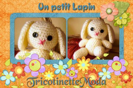 Un petit Lapin !