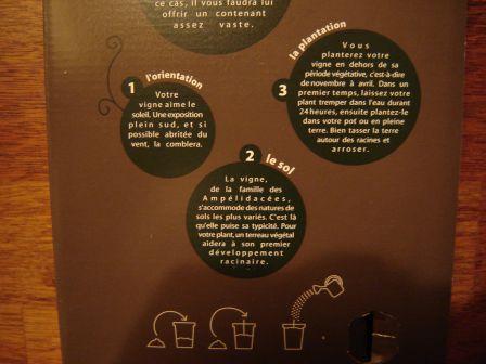 suis vigneron...à maison!!!